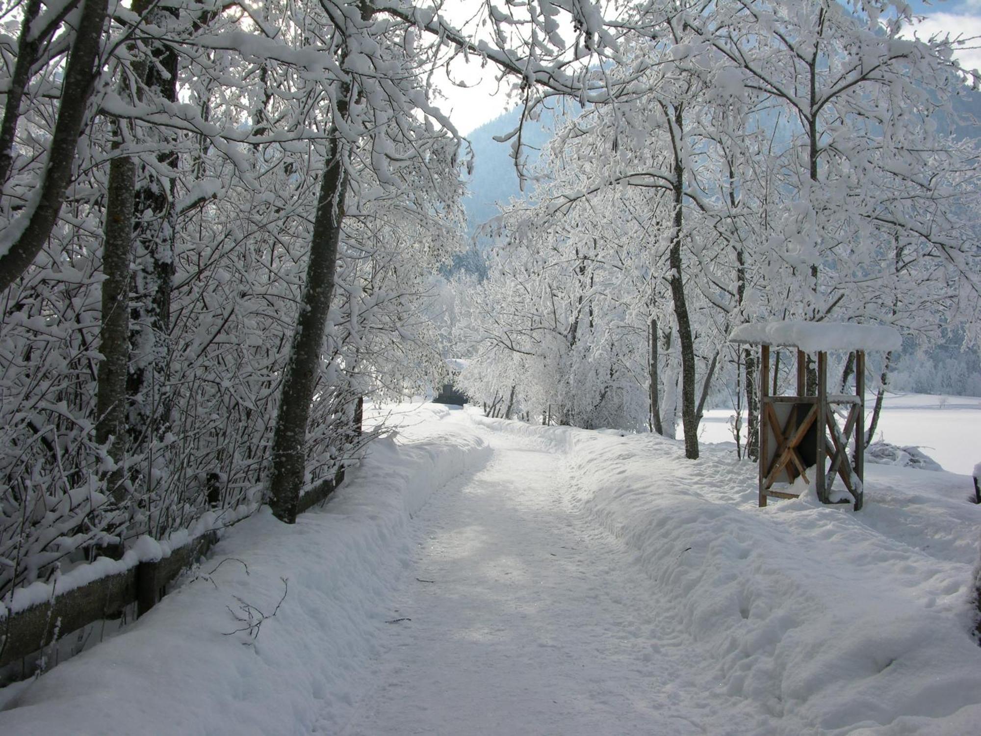 Haus Seeblick Am See Thiersee Exterior foto